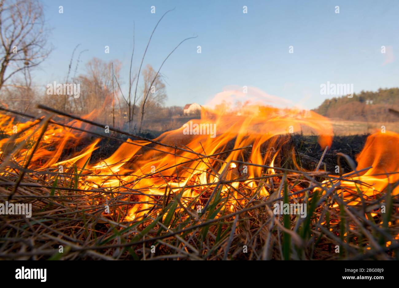 Ukraine Massives Feuer im Wald, trockene Graswege und Wald im Feuer Katastrophe, ökologische Katastrophe Stockfoto
