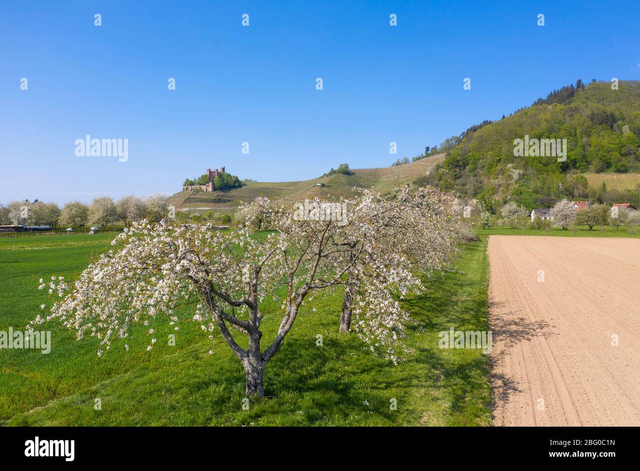 Dron Luftaufnahme, Schloss Ortenberg im Frühling, Ortenberg, Schwarzwald, Baden-Württemberg, Deutschland, Europa Stockfoto