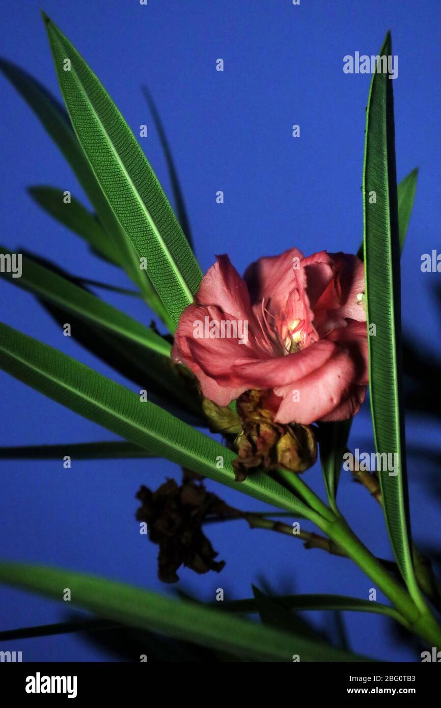 Erstaunliche upload kunst -Fotos und -Bildmaterial in hoher Auflösung