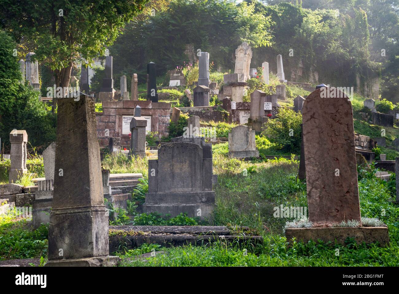 Evangelischer Friedhof, Morgennebel, Schulberg, Zitadelle in Sighisoara, UNESCO-Weltkulturerbe, Siebenbürgen, Rumänien Stockfoto