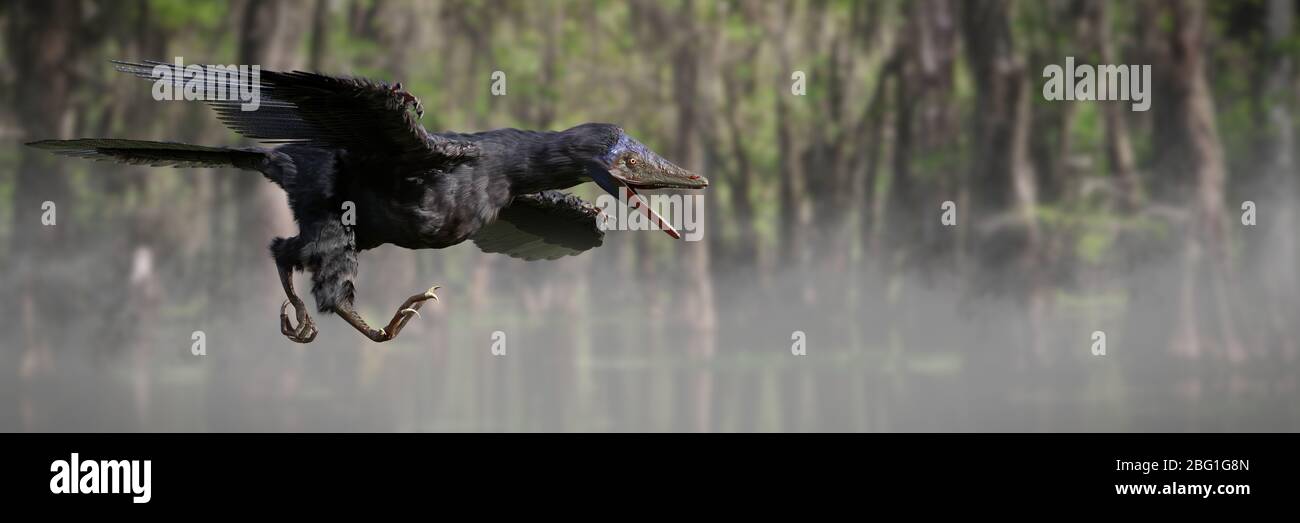 Archaeopteryx, vogelähnlicher Dinosaurier aus der späten Jurazeit vor rund 150 Millionen Jahren Stockfoto