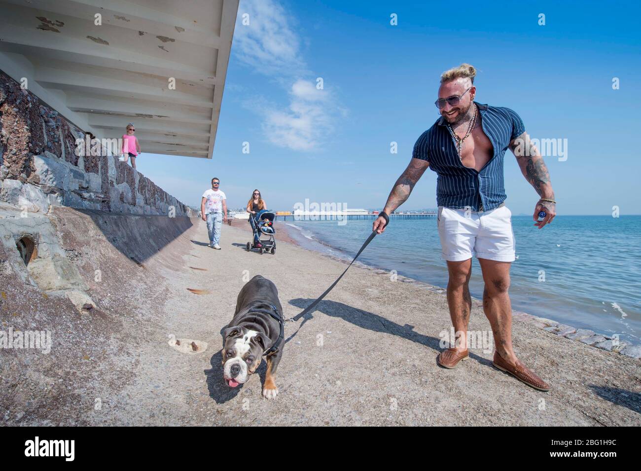 Hundewanderer auf der Paignton Seafront während der Coronavirus-Sperre, Großbritannien Stockfoto