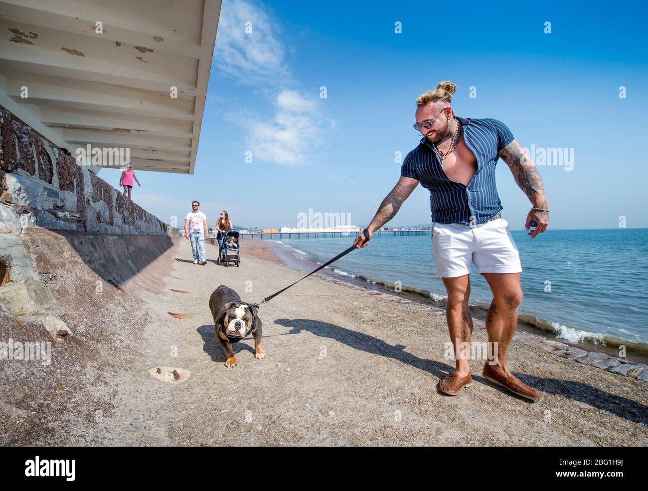 Hundewanderer auf der Paignton Seafront während der Coronavirus-Sperre, Großbritannien Stockfoto