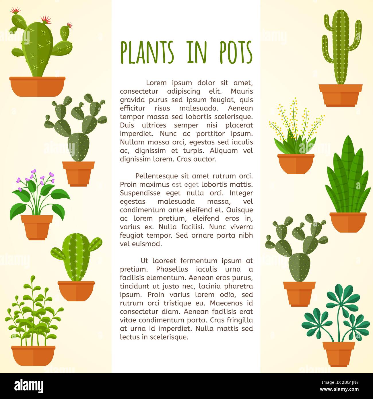 Haus Pflanzen und Kaktus Vektor-Broschre Seitenvorlage. Natur  Kaktusgarten, Banner Vorlage mit botanischen Blten Kakteen Illustration  Stock-Vektorgrafik - Alamy