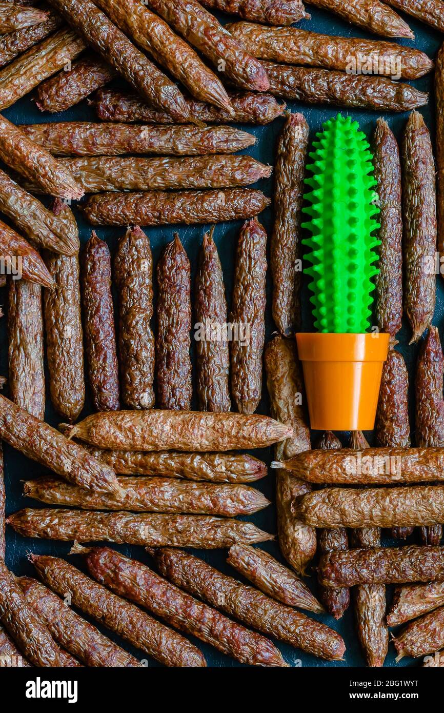 Gummi Kaktus Spielzeug unter getrockneten Haustier Würstchen. Viele Leckereien für Hunde auf einem schwarzen Tisch. Ornament von köstlichen getrockneten Würstchen für Haushund. haustiergebühr Stockfoto