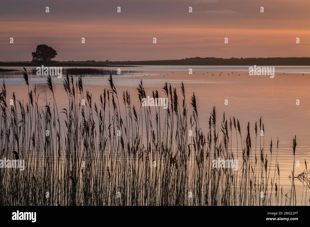 Abendlicht auf der Insel unserer Lieben Frau Wexford Irland Stockfoto