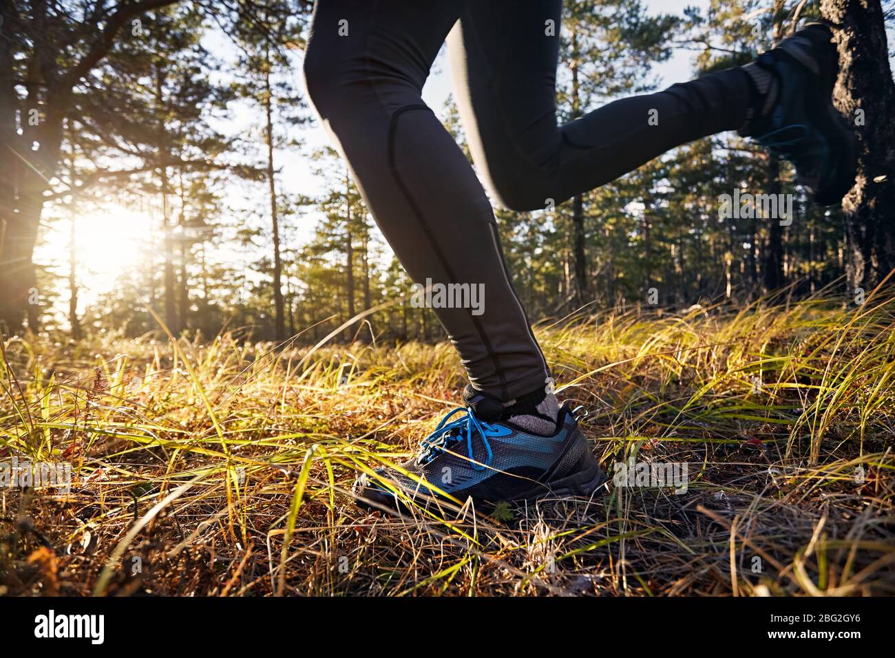 Nahaufnahme der Füße von Trail Runner im Herbstwald bei Sonnenuntergang Himmel Trainingsübung Stockfoto