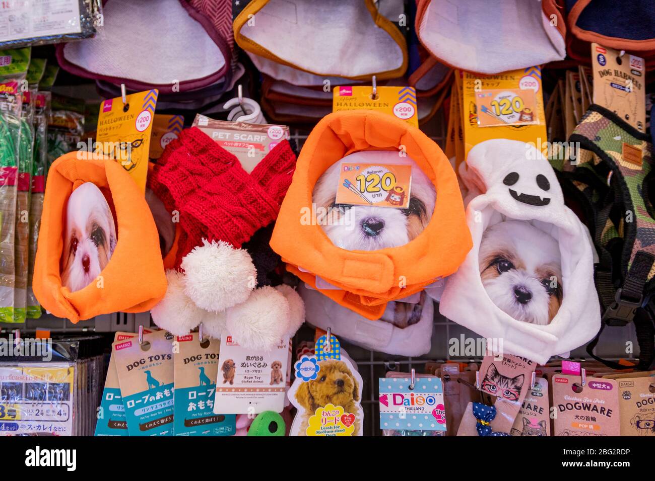 Viele Arten von Hundeleine und Hundegeschirr für Haustiere wurden im Daiso Shop auf dem Dorfmarkt Huahin, Thailand Februar 20,2020 verkauft Stockfoto