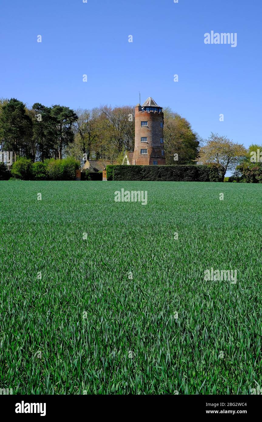 bellevue Turm und Frühlingsweizenernte, briningham, Nord norfolk, england Stockfoto