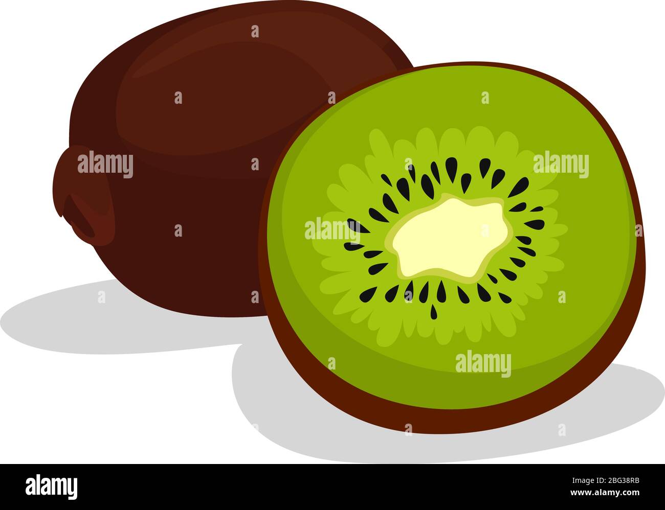 Kiwi in zwei Hälften geschnitten, Illustration, Vektor auf weißem Hintergrund Stock Vektor