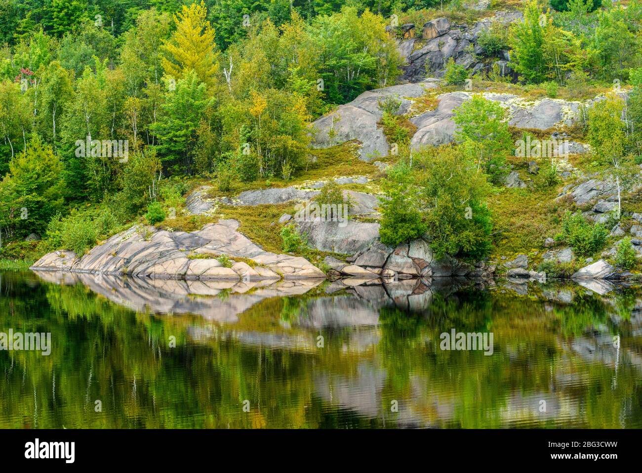 Reflexionen im Spätsommer in Elbow Lake, Wanup, Ontario, Kanada Stockfoto