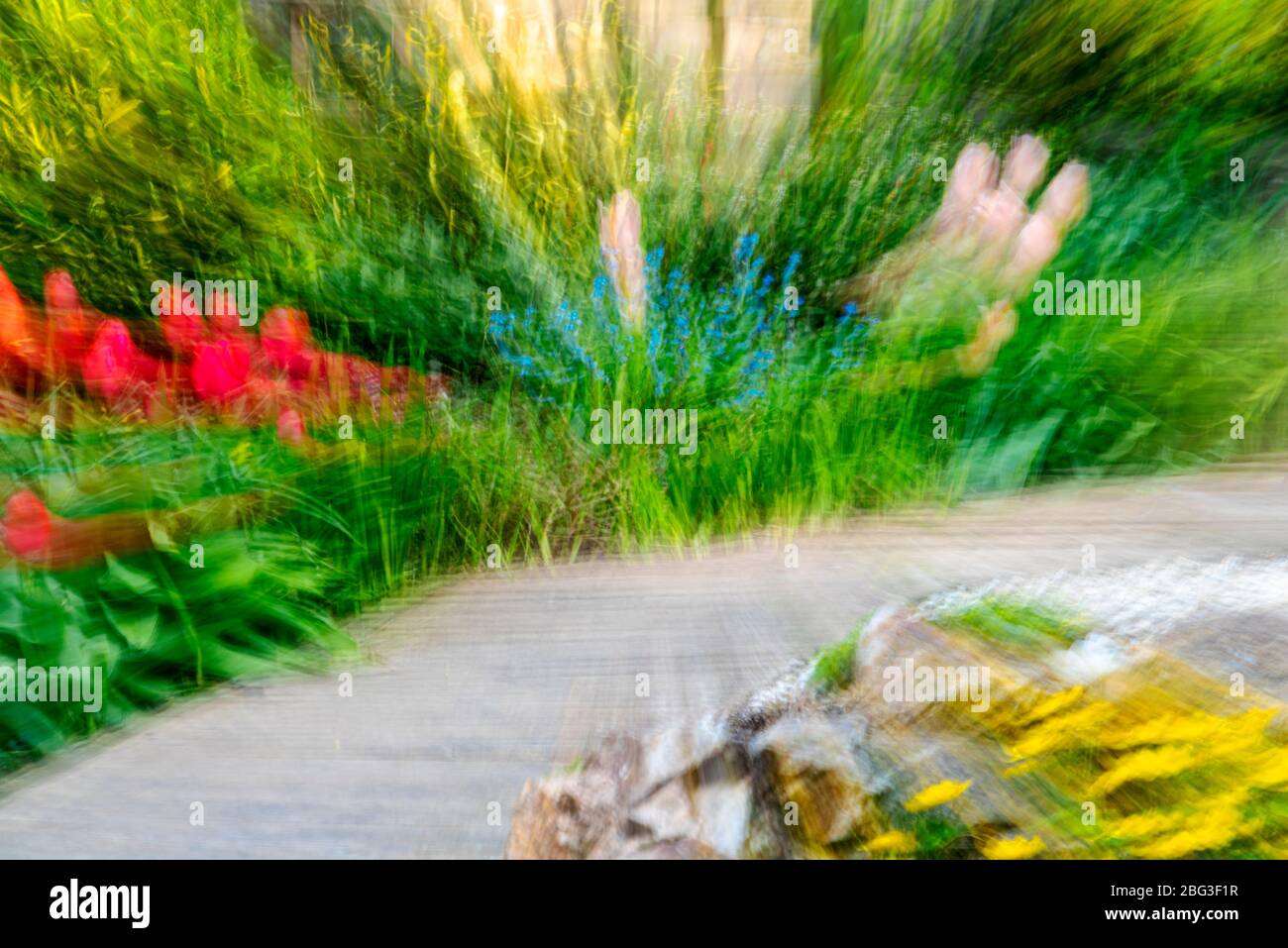 Ein gezoomter Blick auf den englischen Garten im Frühling. Unscharfer Blick auf den Garten. Stockfoto