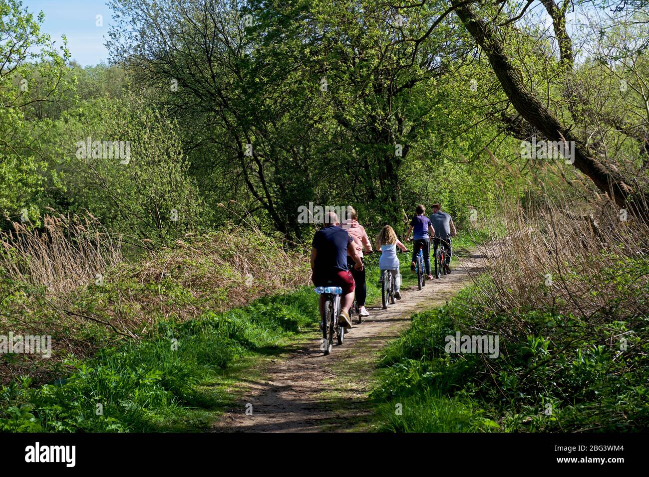Familienradsport, Oakhill Nature Reserve, in der Nähe von Goole, East Yorkshire, England Stockfoto