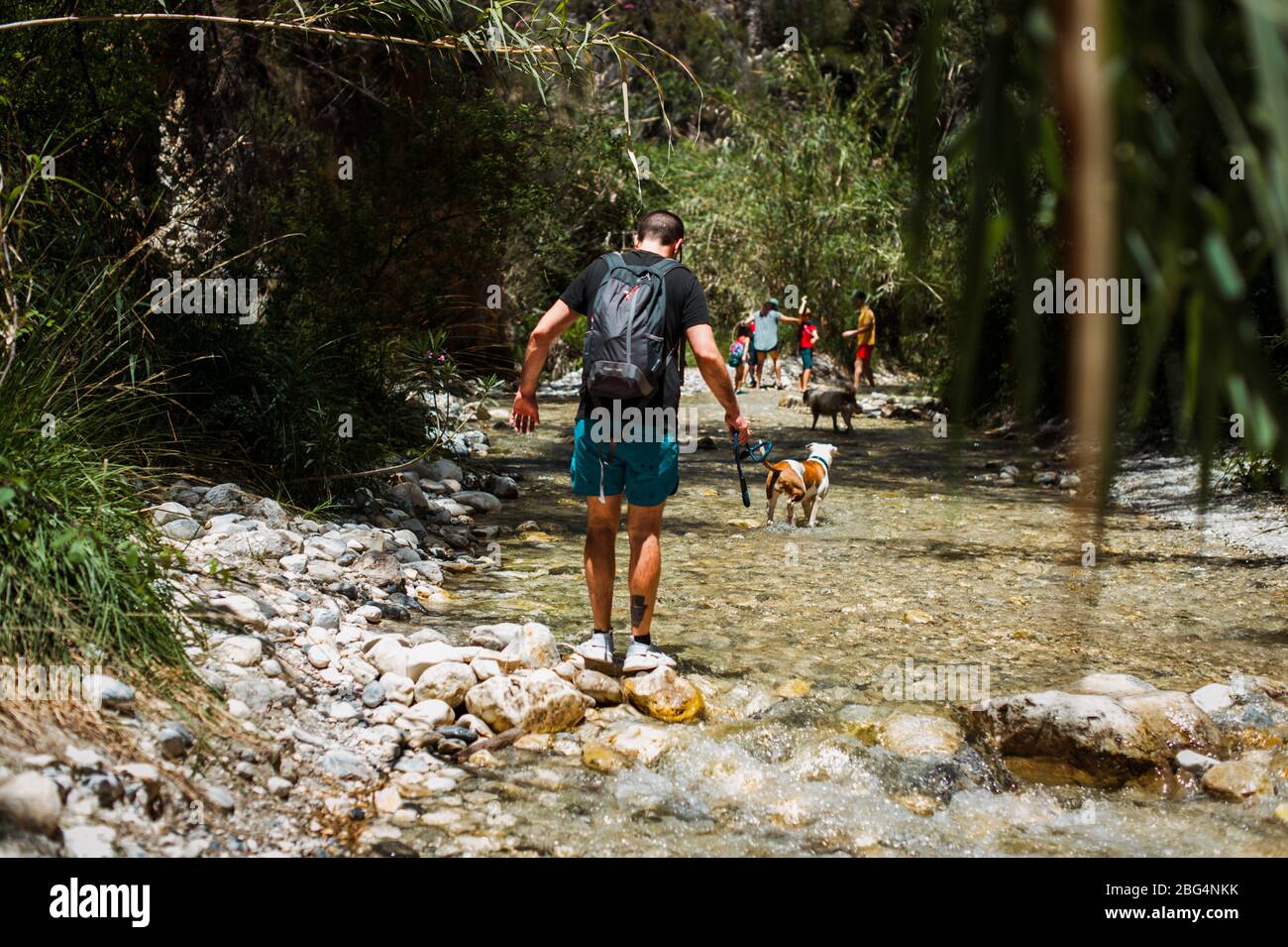 Mann, der mit Hund im Wald den Fluss hinunter läuft Stockfoto