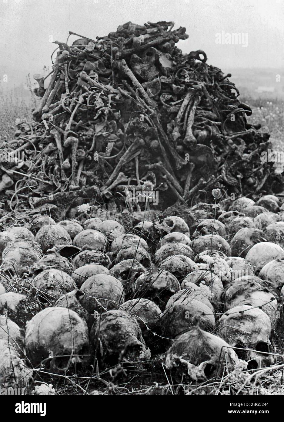 Dokumentation zum Zweiten Weltkrieg. Auf dem Gelände des Konzentrationslagers Majdanek liegt kurz nach seiner Befreiung durch russische Soldaten im Jahr 1944 ein Stapel menschlicher Knochen und auch Schädel Stockfoto