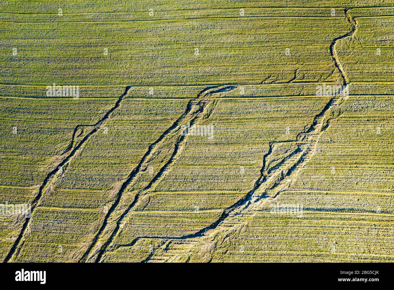 Landwirtschaftliche Landschaft. Luftaufnahme. Stockfoto