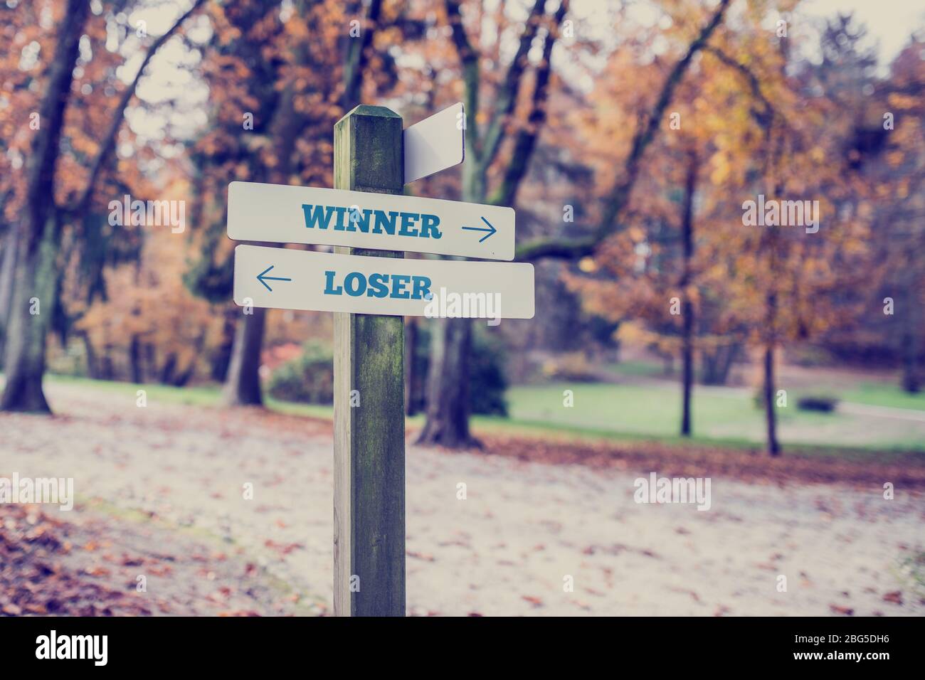 Landschild mit zwei Schildern mit der Aufschrift - Gewinner - Verlierer - zeigt in entgegengesetzte Richtungen. Stockfoto