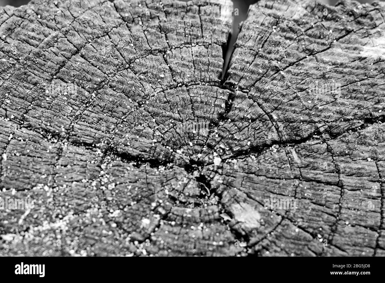 Nahaufnahme des Holzpfens in schwarz-weiß Stockfoto