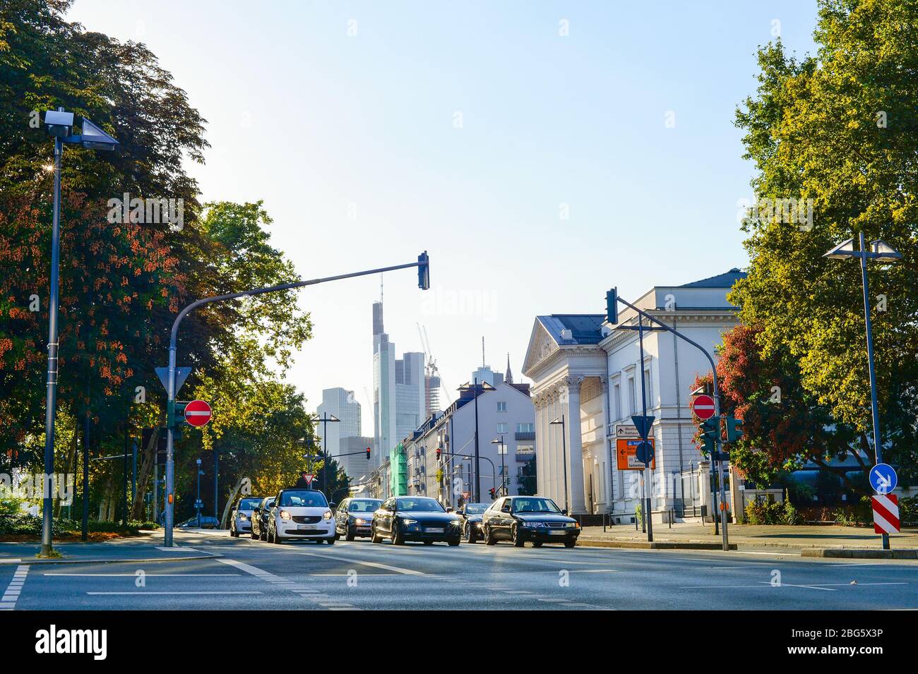 Stadtbild mit moderner Architektur, grünen Bäumen und Autos halten an der Ampel, Innenstadt von Frankfurt bei Abendsonne, Deutschland Stockfoto