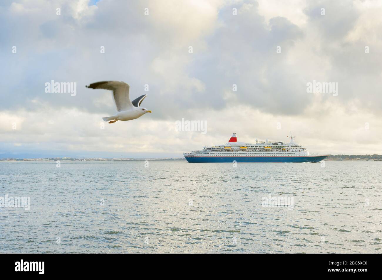 Kreuzfahrtschiff und Möwe am Tejo. Lissabon, Portugal Stockfoto