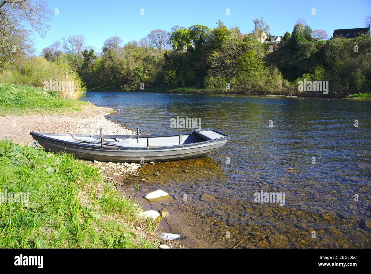 Ruderboot teilweise am Ufer neben dem Fluss Tweed, Kelso, Roxburghshire, Scottish Borders, UK Stockfoto