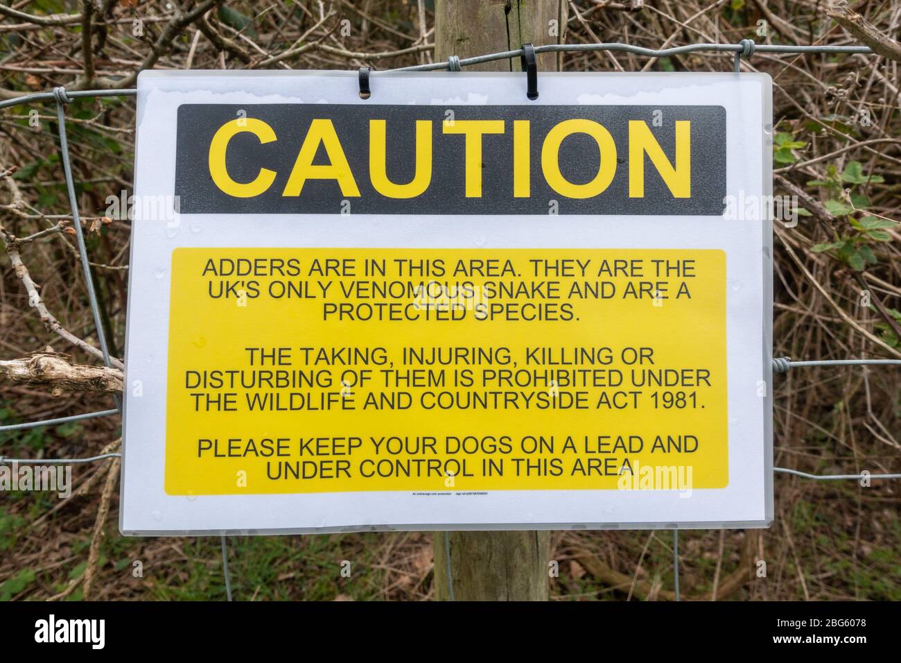 Warnschild warnt Besucher vor der Anwesenheit von Adderschlangen auf der Hounslow Heath, London, Großbritannien. Stockfoto