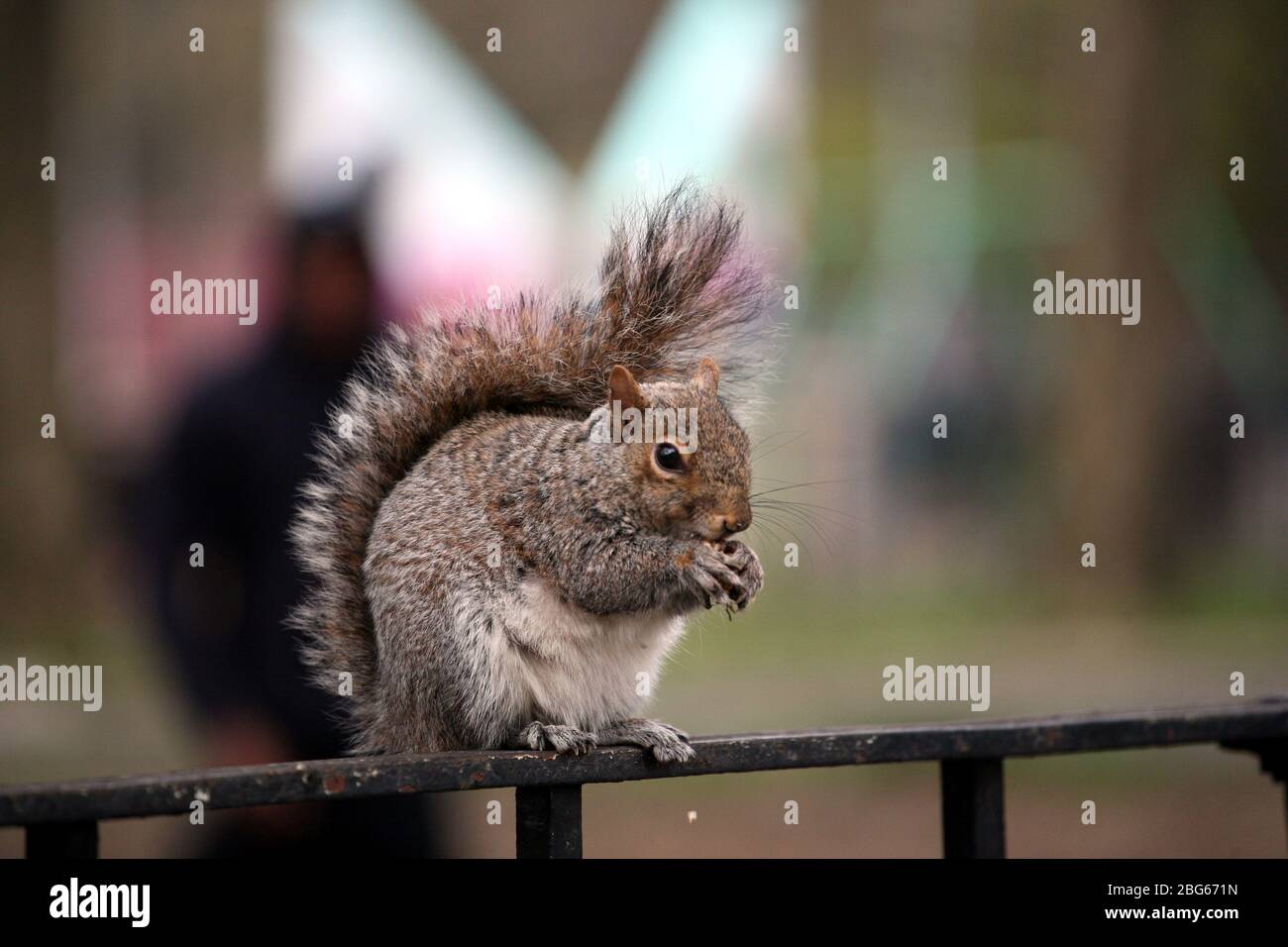 Crotona Park, Bronx, NY, USA Stockfoto