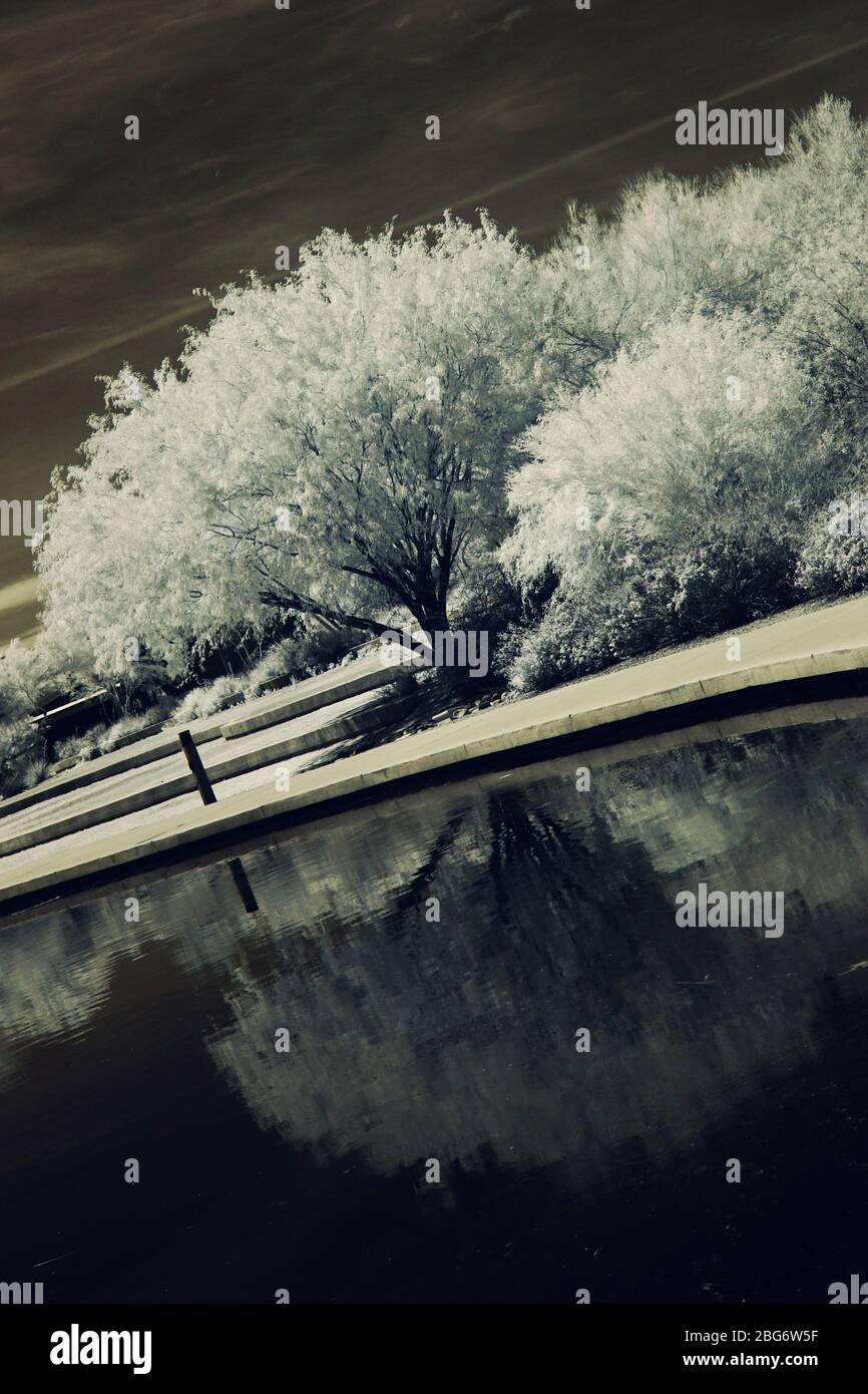 Ein Infrarotfoto eines Baumes, der sich im Wasser spiegelt. Stockfoto