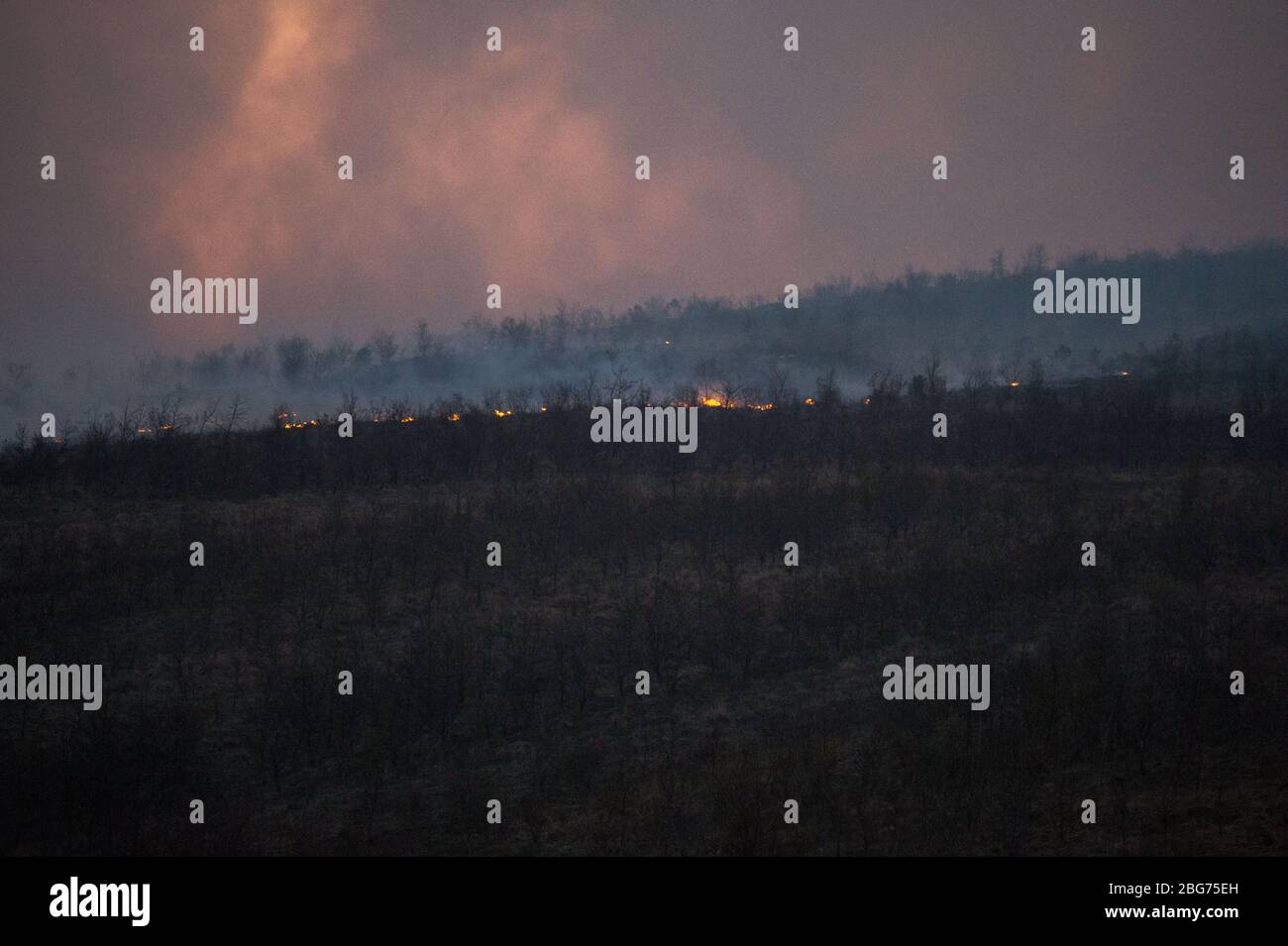 Kilpatrick Hills, Duntochter, Glasgow, Großbritannien. April 2020. Im Bild: Riesige Rauchwolken aus einem massiven Waldfeuer mit massiven Flammen auf den Kilpatrick-Hügeln in Glasgow. Quelle: Colin Fisher/Alamy Live News Stockfoto