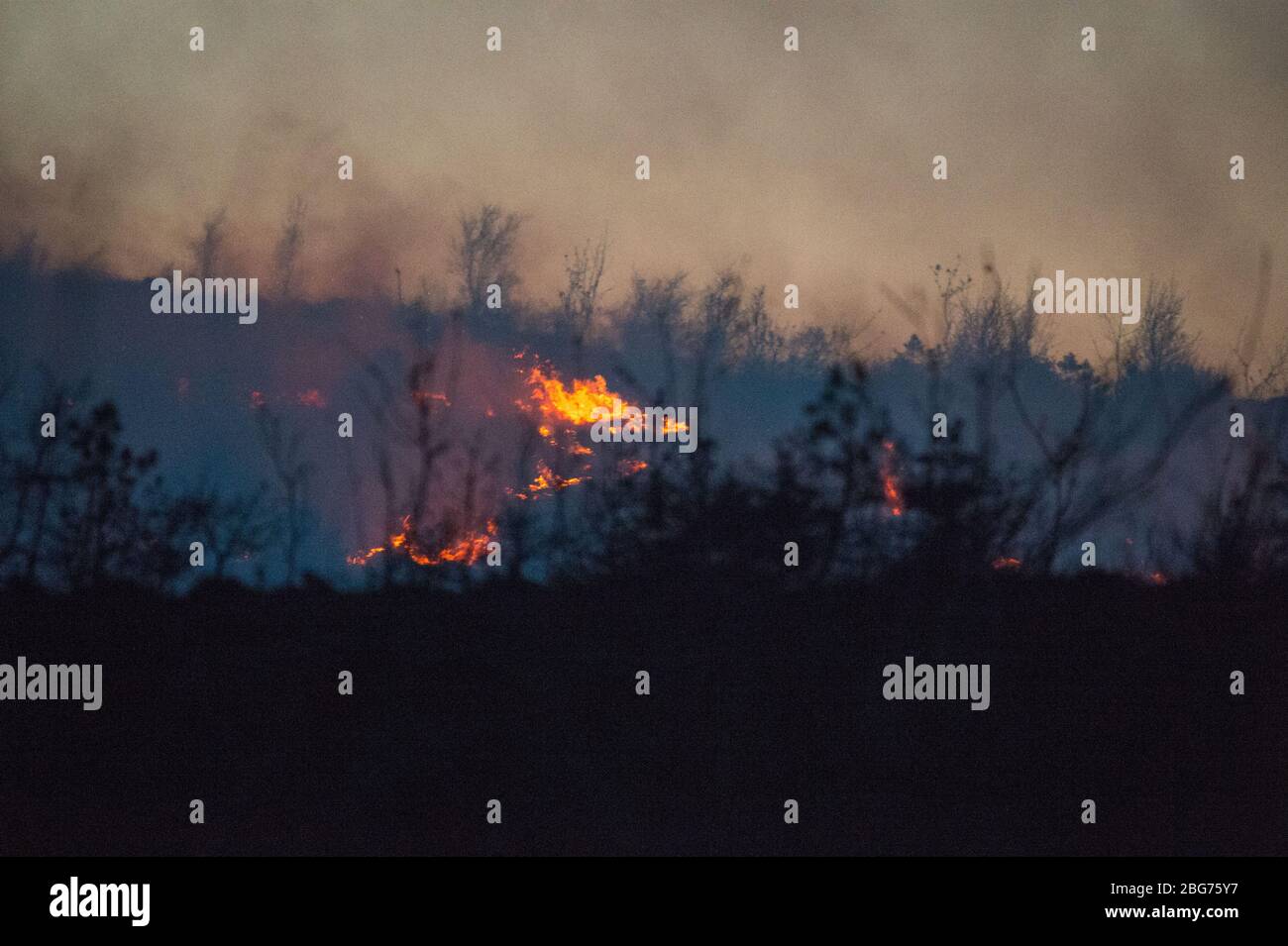 Kilpatrick Hills, Duntochter, Glasgow, Großbritannien. April 2020. Im Bild: Riesige Rauchwolken aus einem massiven Waldfeuer mit massiven Flammen auf den Kilpatrick-Hügeln in Glasgow. Quelle: Colin Fisher/Alamy Live News Stockfoto