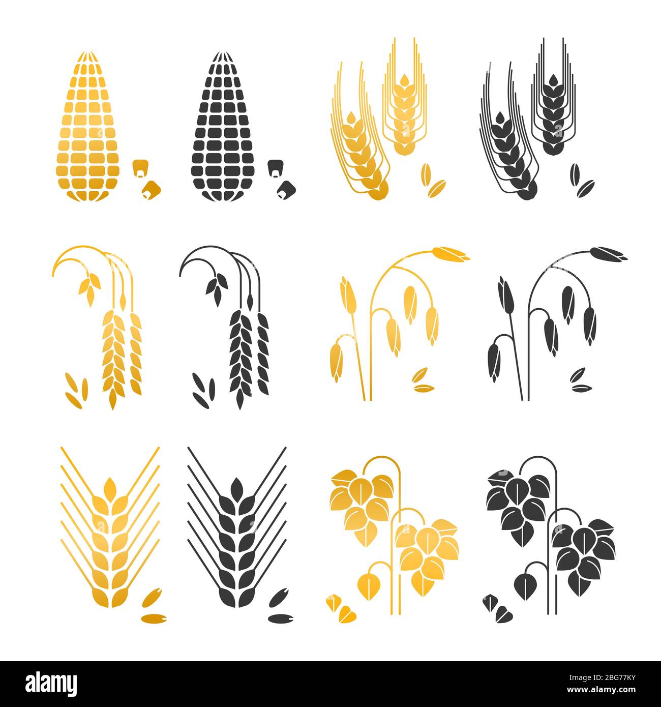 Schwarz und Gold Getreide Körner Vektor-Icons. Reis, Weizen, Mais, Roggen, Gerste isoliert auf weißem Hintergrund. Landwirtschaft Weizen und Ähren, Gerste und Roggen illu Stock Vektor