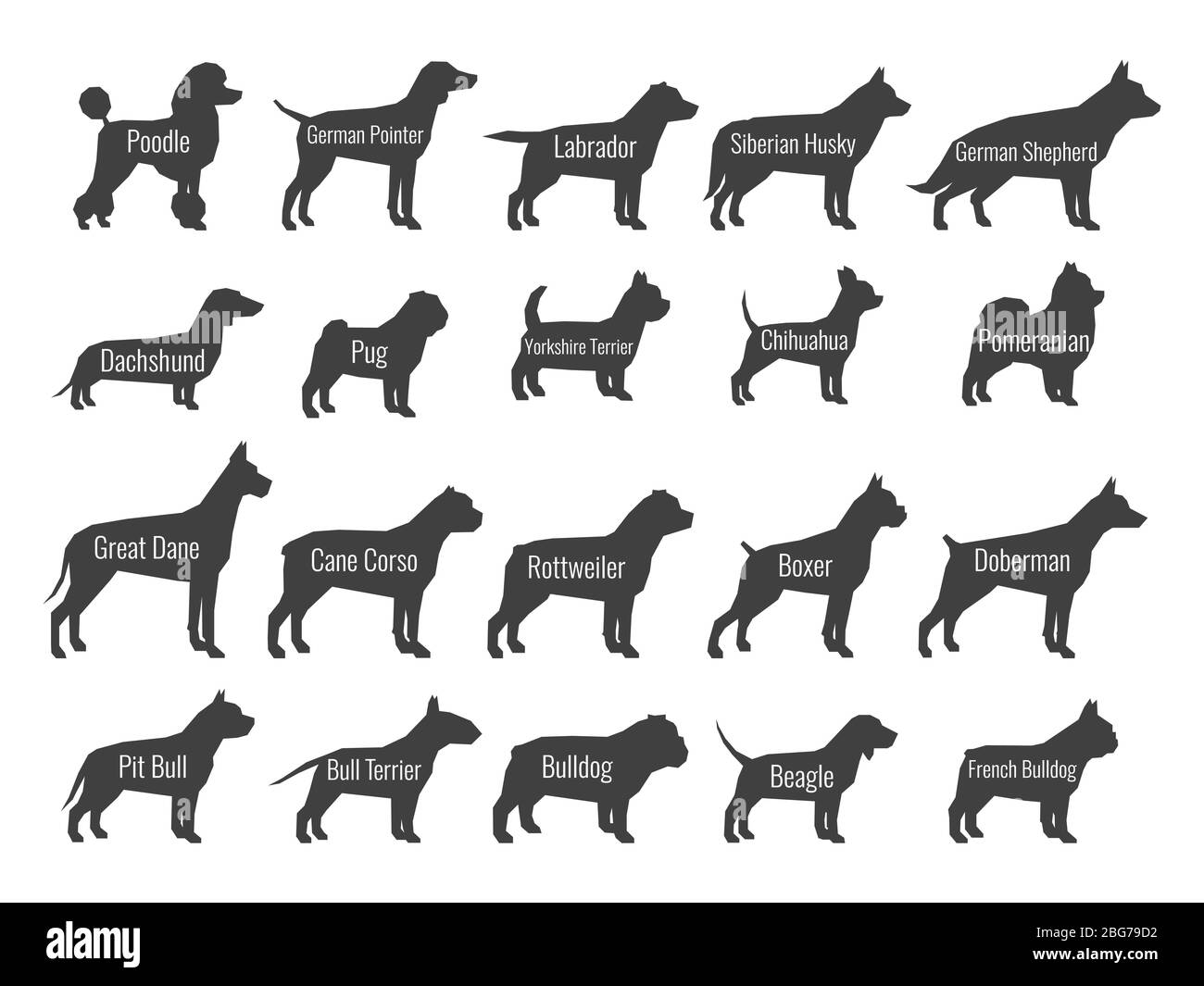 Schwarzer Hund Rassen Vektor Silhouetten isoliert auf weißem Hintergrund. Profil von Pudel und labrador, sibirischen Husky und Schäfer, Dackel und Mops illus Stock Vektor