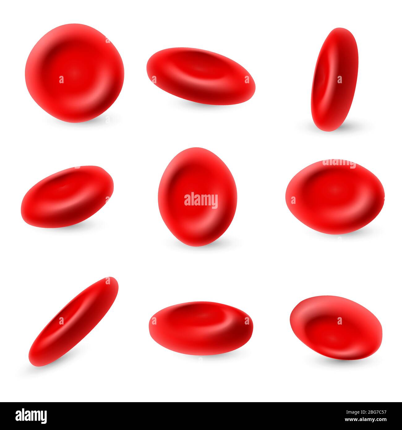 Humane Erythrozyten, 3d mikroskopische rote Blutkörperchen Vektor auf weißem Hintergrund isoliert gesetzt. Rote Blutkörperchen, Mikrobiologie Gesundheit Mensch Illustration Stock Vektor