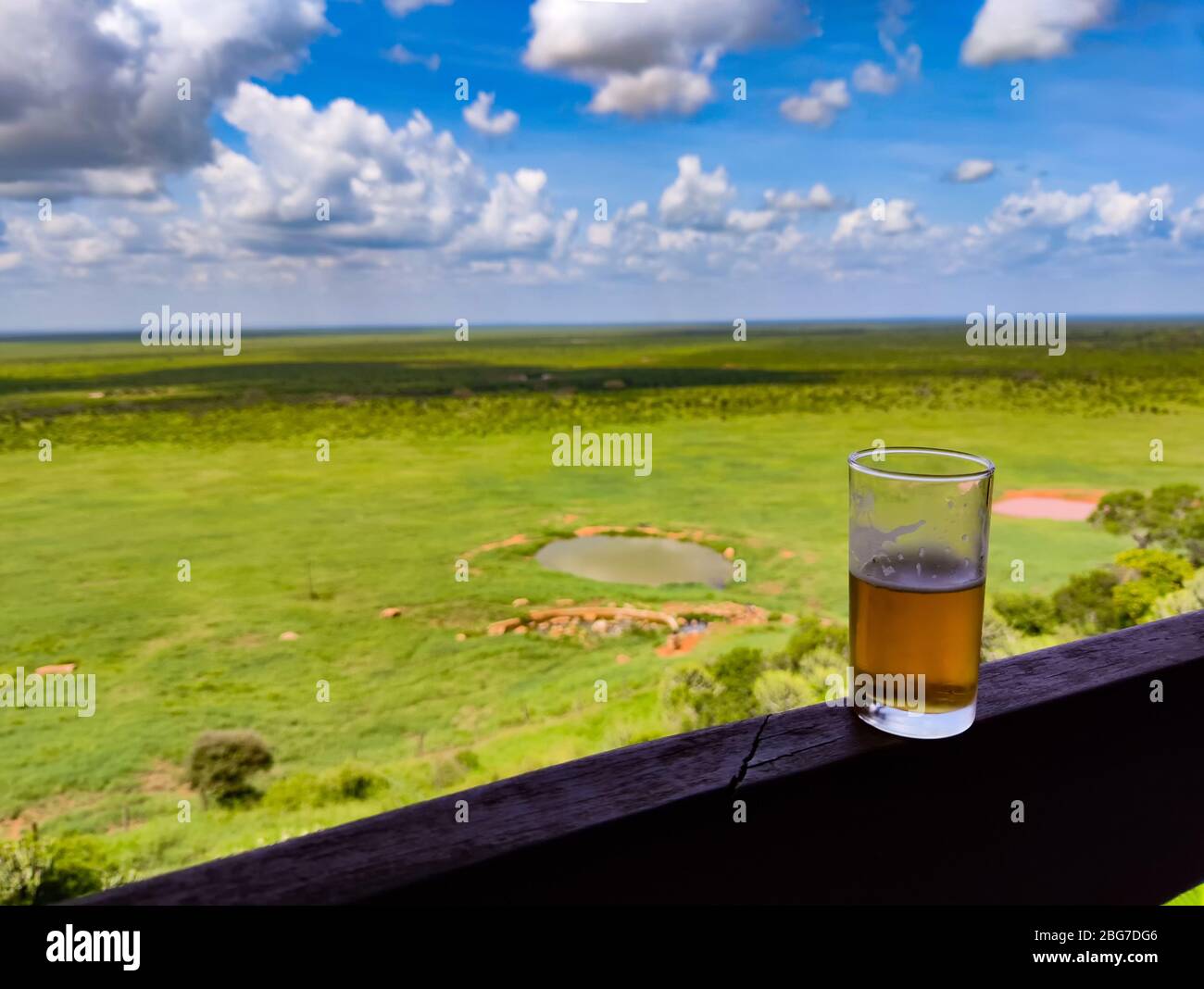 Ein Glas Bier steht auf einem Holzzaun. Im Hintergrund ist ein wunderbarer Blick auf den Tsavo East National Park in Kenia. Stockfoto