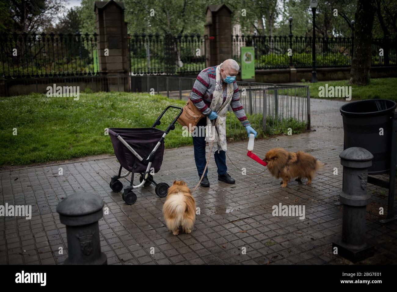 20. April 2020, Barcelona, Katalonien, Spanien - EINE Frau mit einer schützenden Gesichtsmaske füttert ihre Hunde auf den Straßen von Barcelona. Die von der Regierung auferlegte Sperrung erlaubt es, Haustiere zu Fuß zu erreichen. Die Todesfälle durch das Coronavirus fallen in Spanien auf 399, während die bestätigten Fälle jetzt 200,000 übersteigen. Quelle: Jordi Boixareu/Alamy Live News Stockfoto