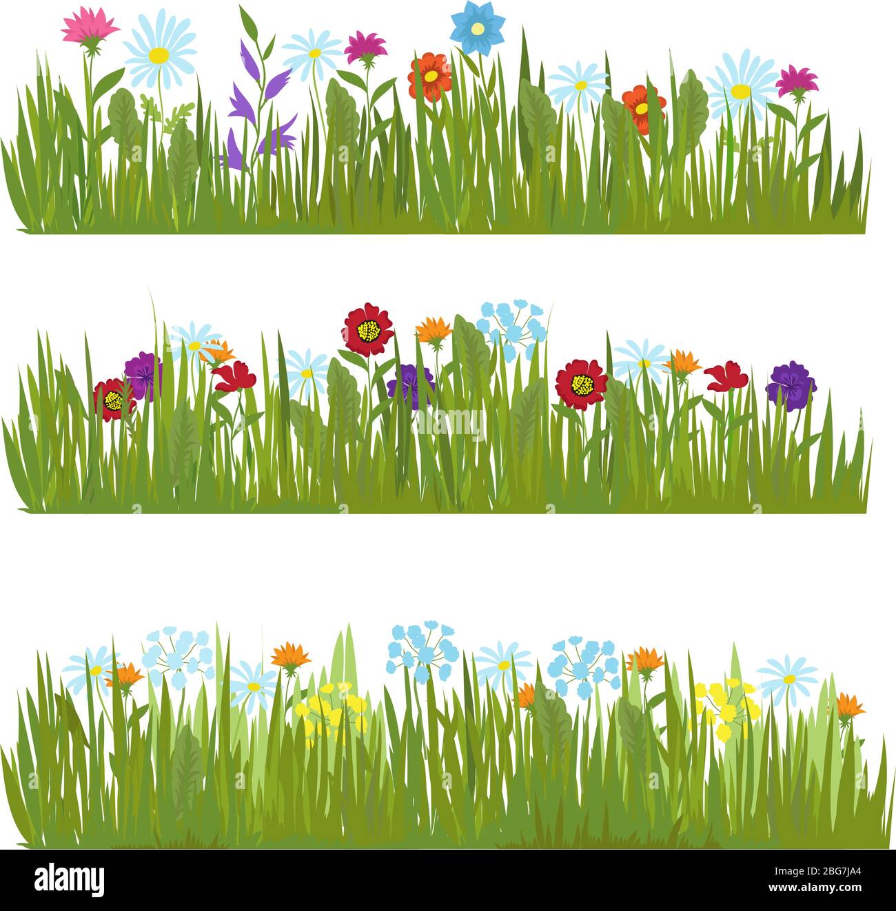 Sommer Gras mit wilden schönen Blumen Vektor Grenzen. Farbe Blume und grünes Feld, Wiese Schönheit Blüte Illustration Stock Vektor