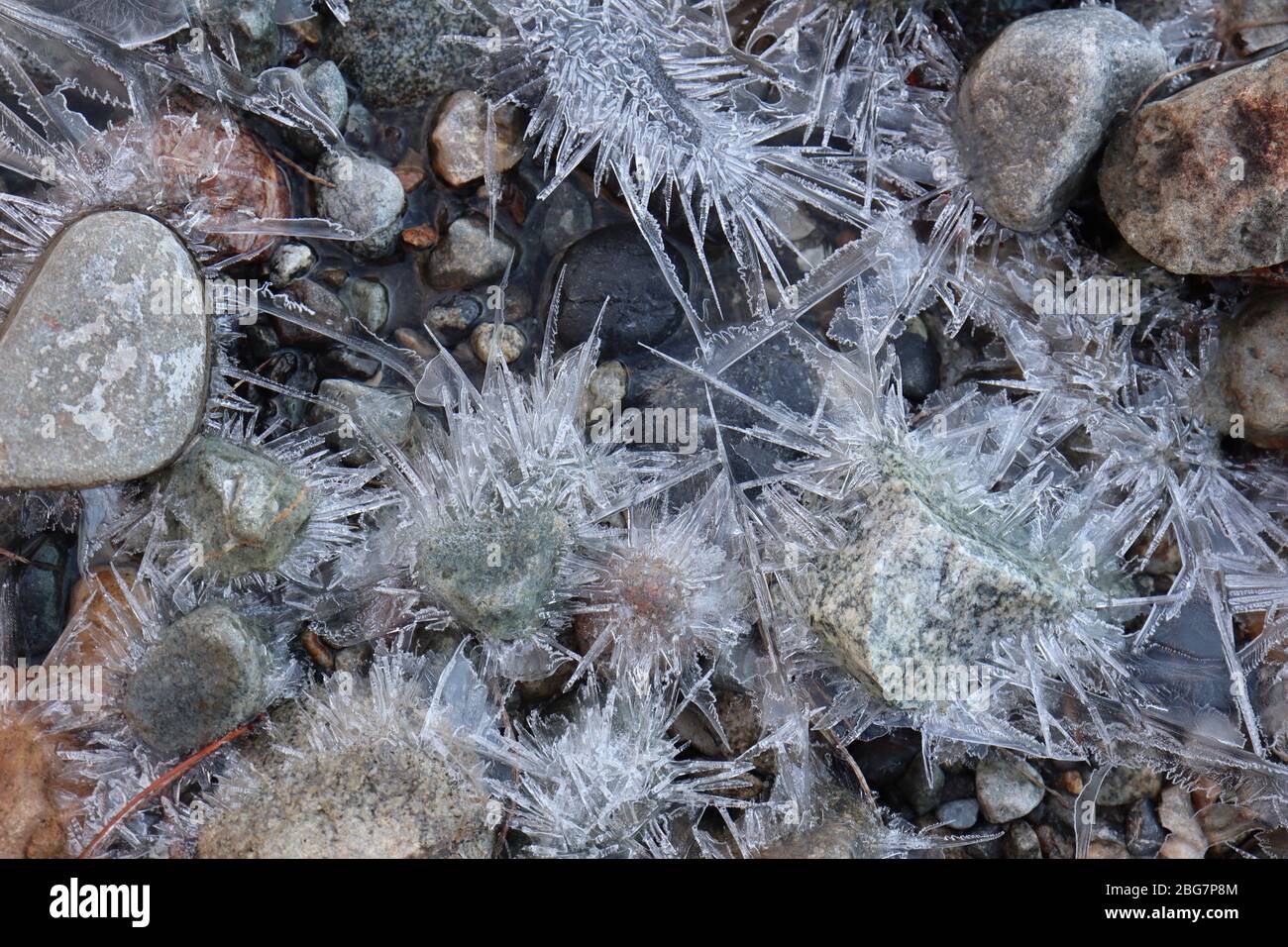 Bunte Felsen umgeben von sternenartigen Eisformationen in einem kleinen Bach Stockfoto