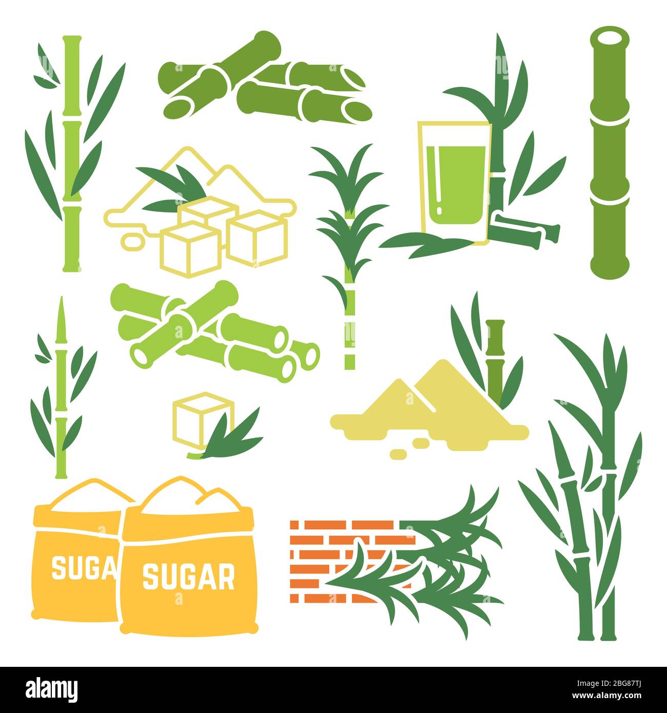 Zuckerrohr, Zuckerrohr Pflanze Ernte Vektor-Symbole auf weißem Hintergrund isoliert. Illustration der Rohrpflanze, natürliche Zuckerrohr flachen Stil Stock Vektor