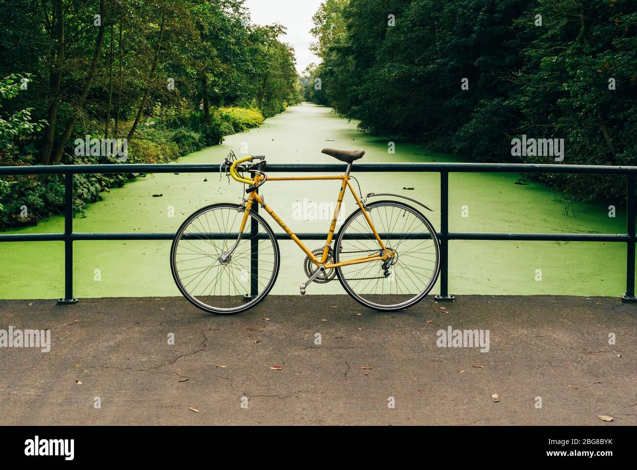 Vintage-gelbes Rennrad, das sich auf einer Brücke lehnt. Grün gesäumter Kanal, Bäume, ruhiger und friedlicher Hintergrund Stockfoto