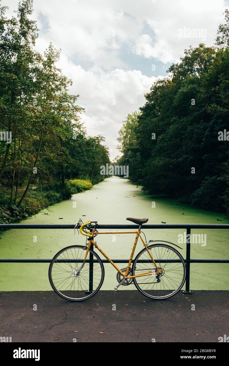 Vintage-gelbes Rennrad, das sich auf einer Brücke lehnt. Grün gesäumter Kanal, Bäume, ruhiger und friedlicher Hintergrund Stockfoto