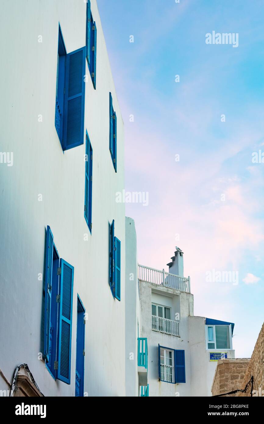 Weißes Gebäude mit blauen Fensterläden in Essaouira Marokko Stockfoto