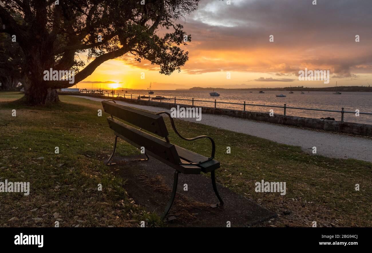 Szene am frühen Morgen am Wasser, Devonport, Auckland Stockfoto