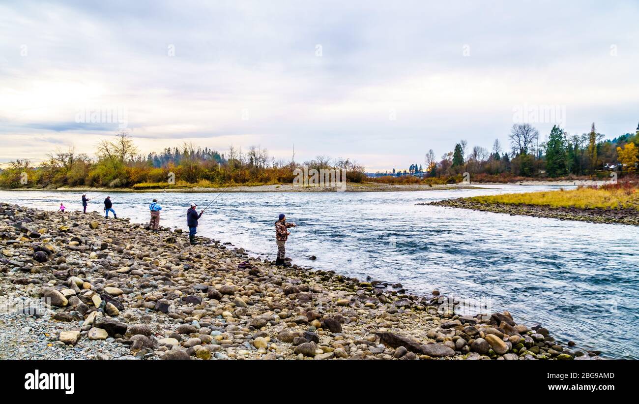 Angeln im Stave River während des Salmon Run in Hayward Lake, der den Bach des Ruskin Damms in der Nähe von Mission, British Columbia, Kanada, abschließt Stockfoto