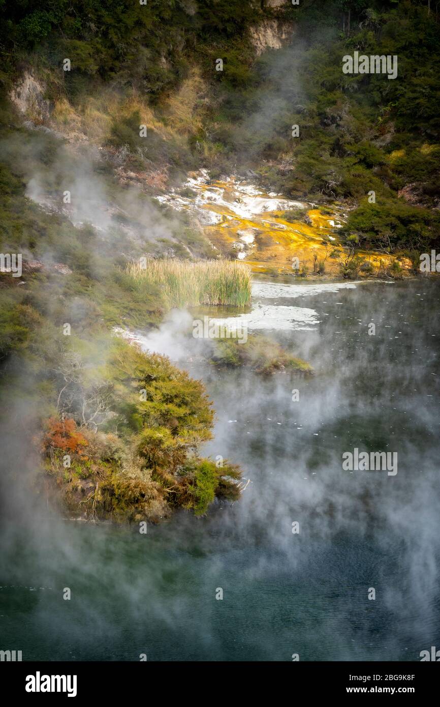 Braten, Pfanne See, Waimangu Volcanic Valley, Rotorua, Nordinsel, Neuseeland Stockfoto