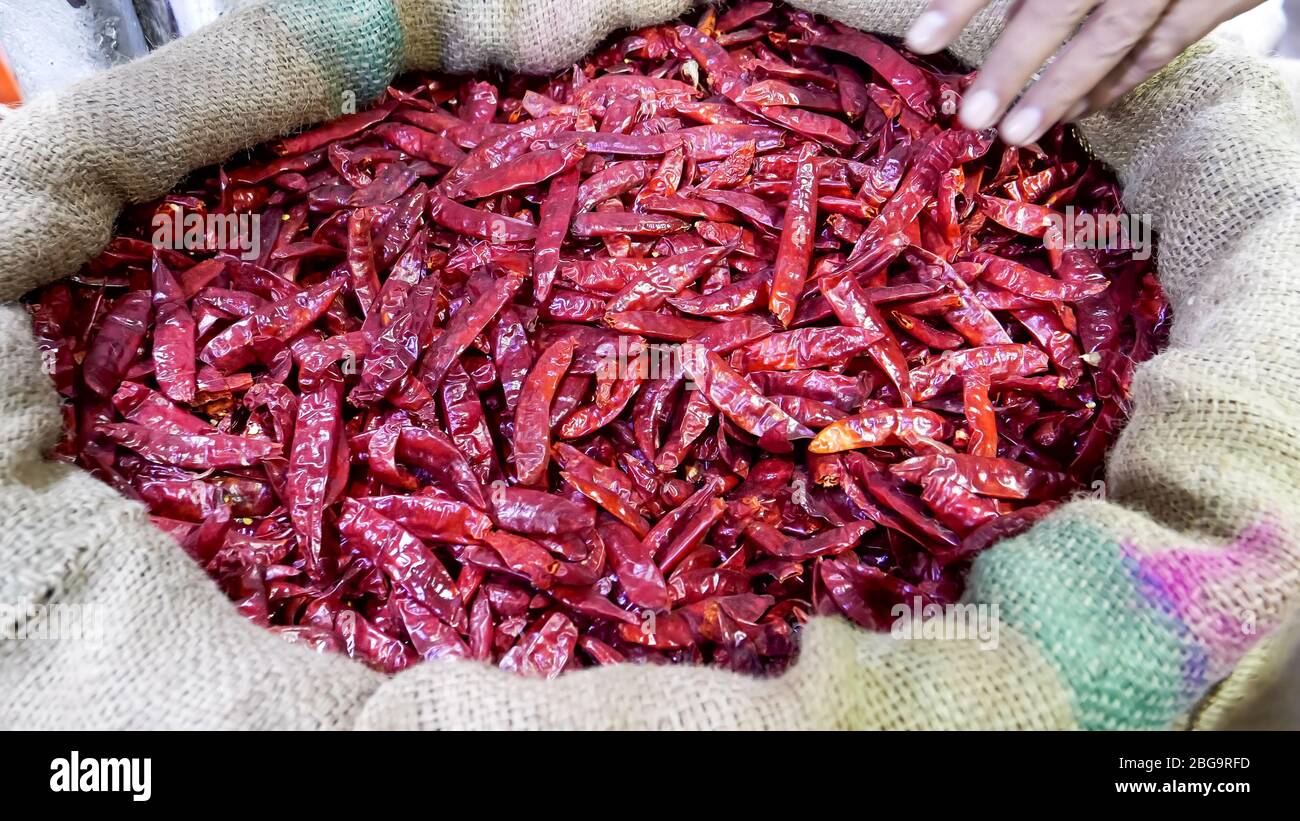 Der Kunde holt getrocknete rote Chilischoten auf dem Gewürzmarkt in Alt-delhi ab Stockfoto