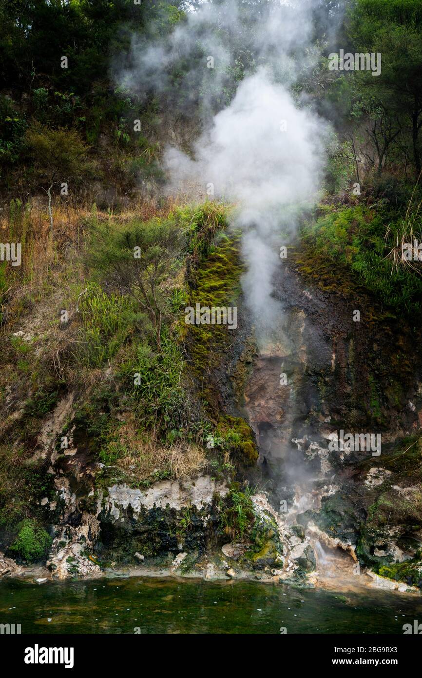 Waimangu Volcanic Valley, Rotorua, Nordinsel, Neuseeland Stockfoto