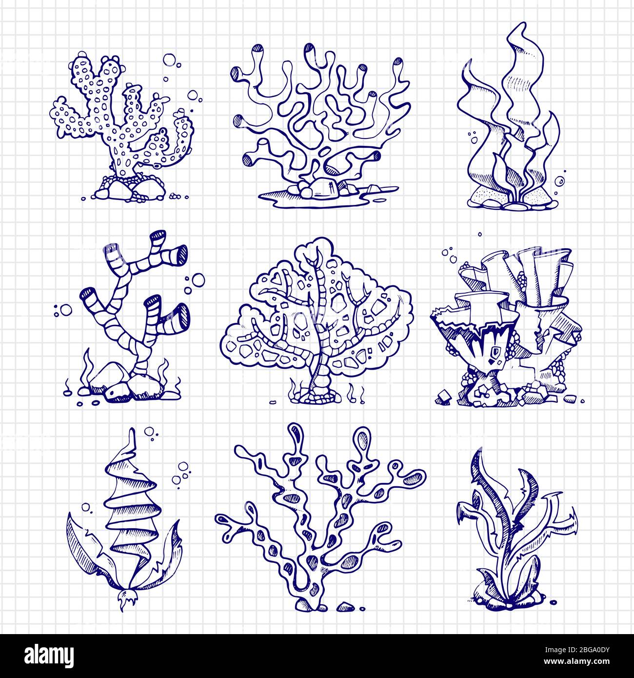 Kugelschreiber Zeichnung Algen, Korallen, Unterwasser Pflanzen auf  Notizbuch Seite. Vektorgrafik Stock-Vektorgrafik - Alamy