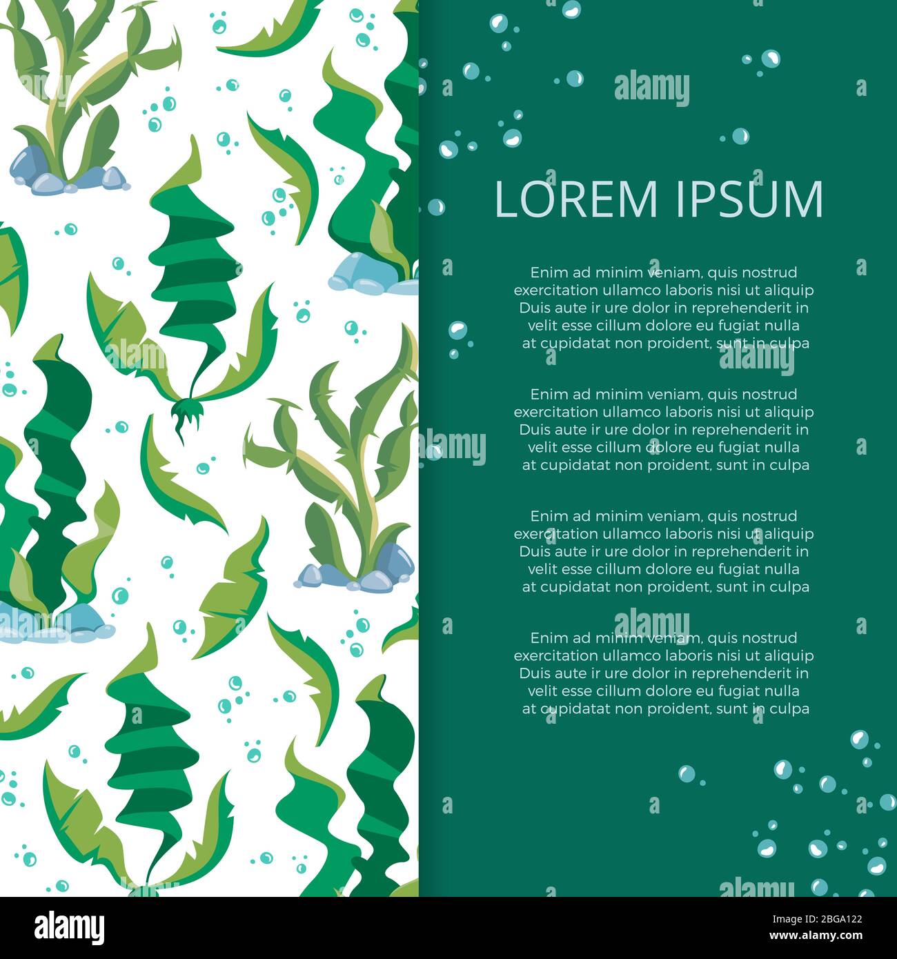 Cartoon Unterwasser Pflanzen Algen Banner oder Poster Design. Vektorgrafik Stock Vektor