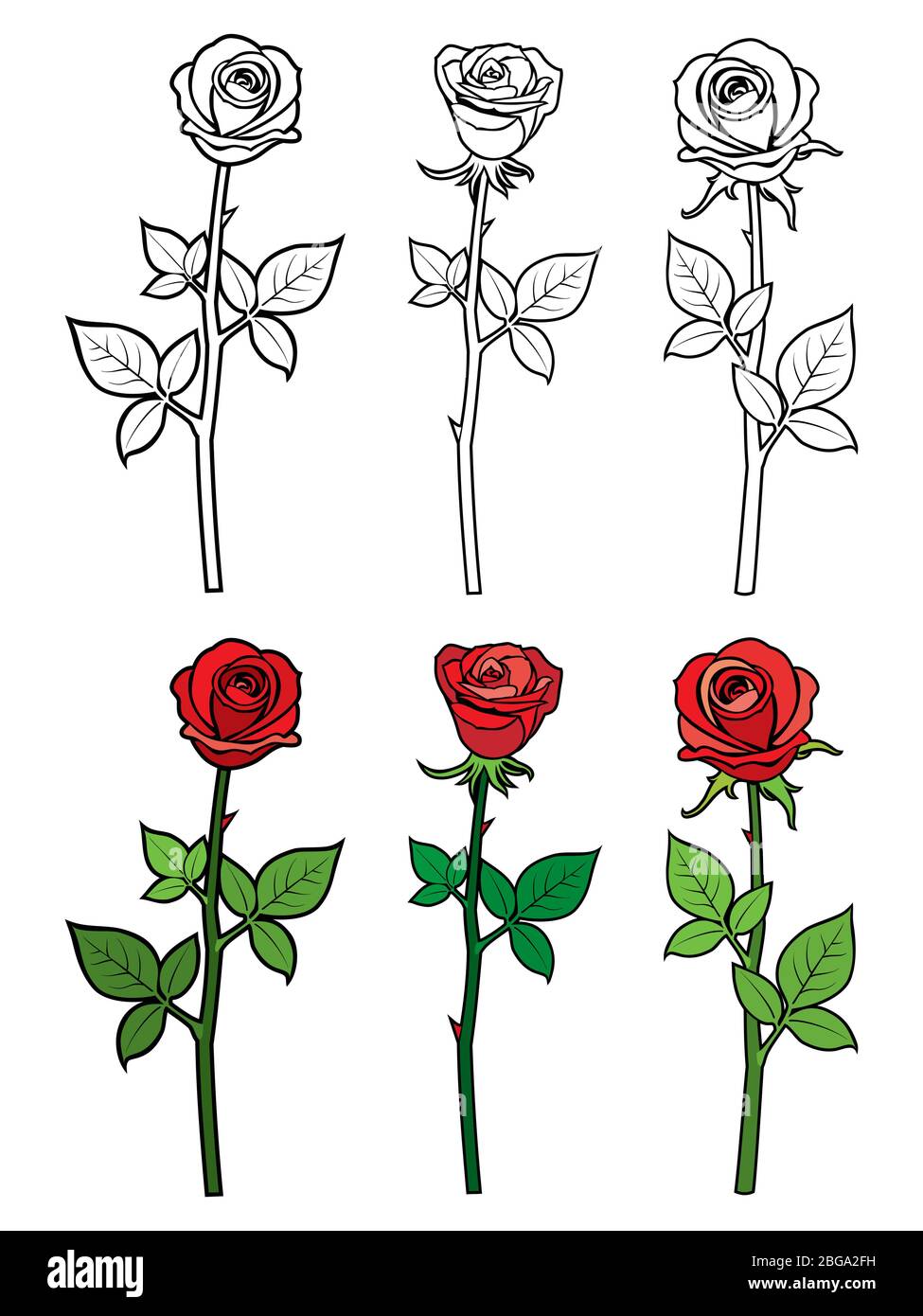 Hand gezeichnet Ouline und rote Rosen - Blumen Malseite. Vektorgrafik Stock Vektor