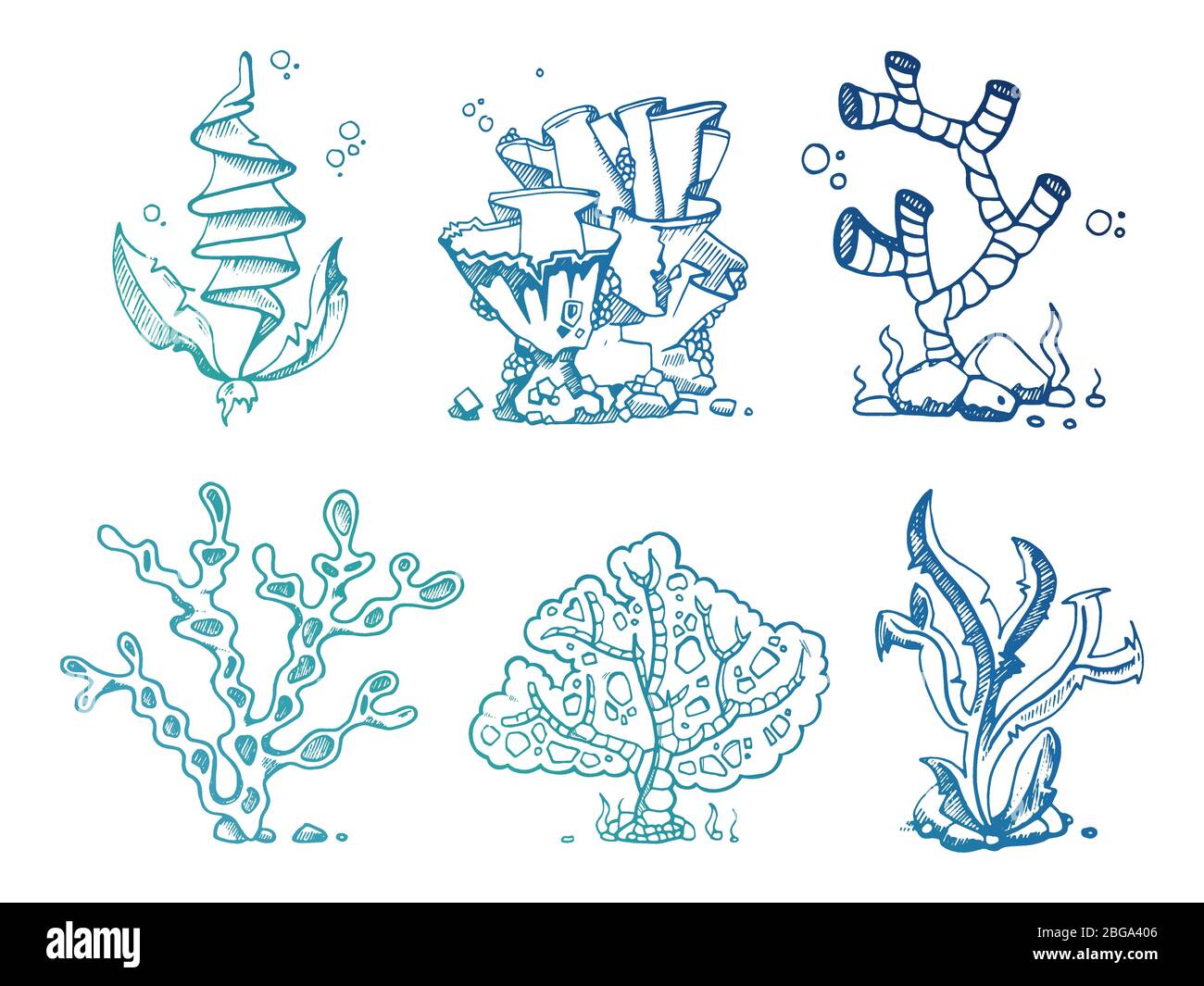 Helle Doodle Algen Unterwasser Pflanzen auf weißem Hintergrund isoliert. Vektorgrafik Stock Vektor